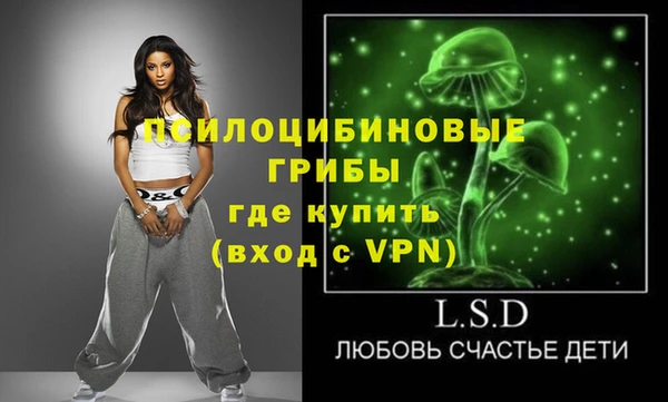 кокс Вяземский