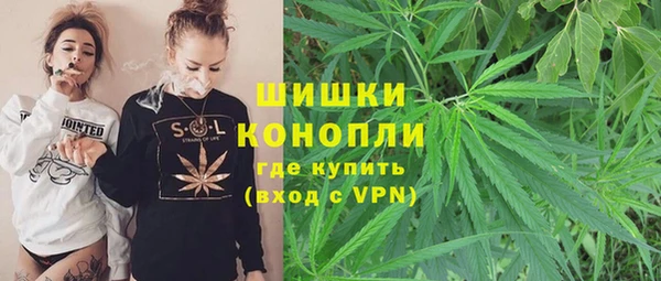 кокс Вяземский