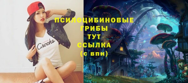 соль ск Вязьма