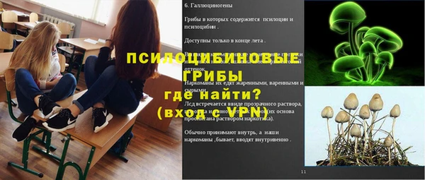 ECSTASY Вязники